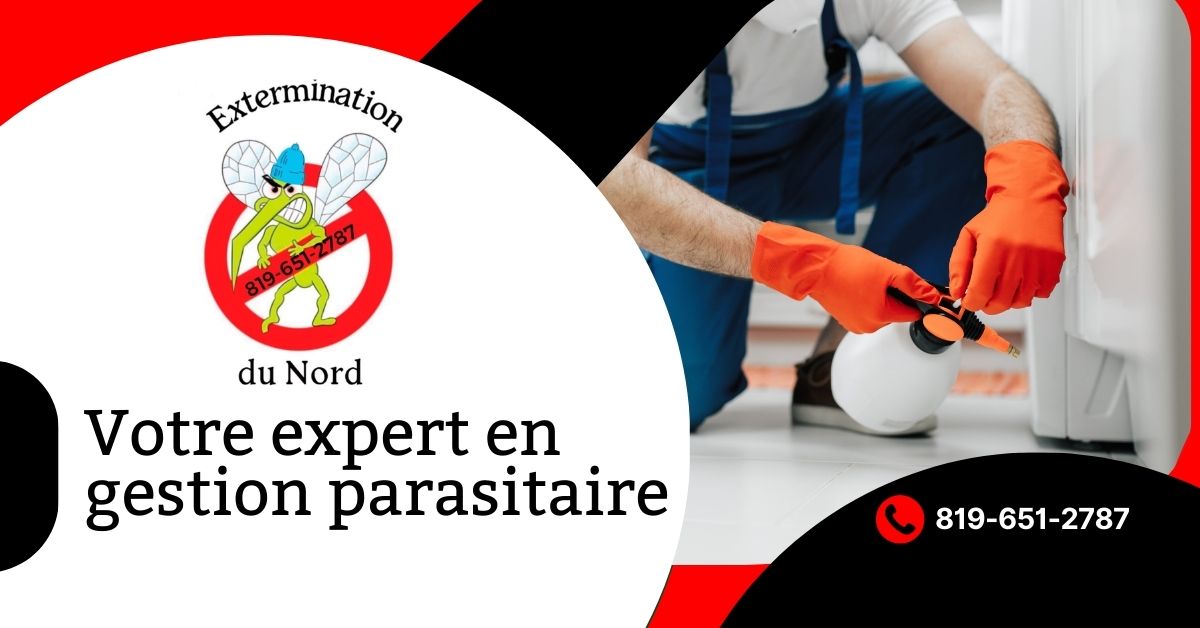 Extermination du nord