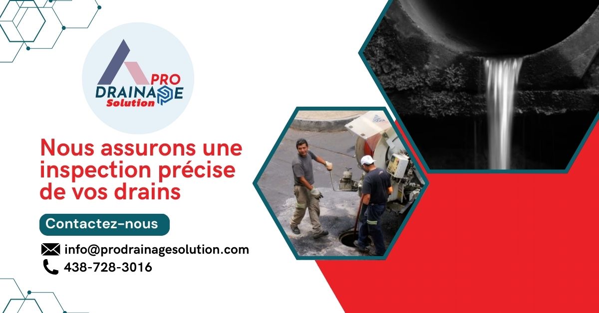 Pro Drainage Solution 