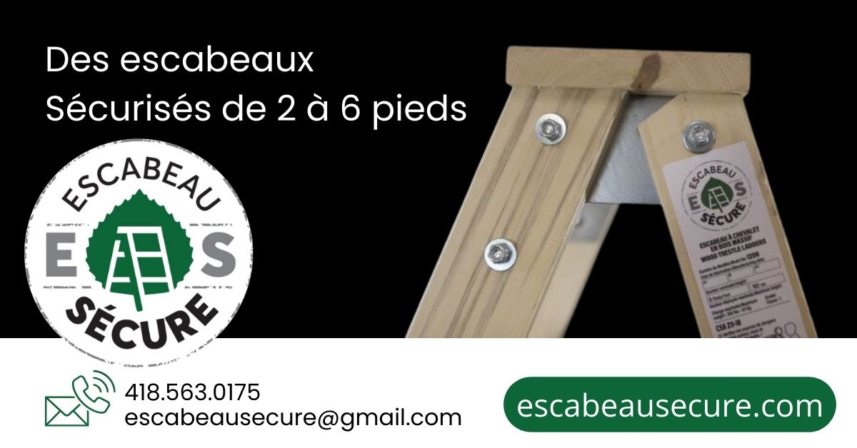escabeau secure