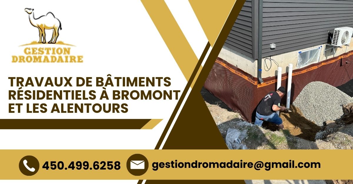 gestion-dromadaire