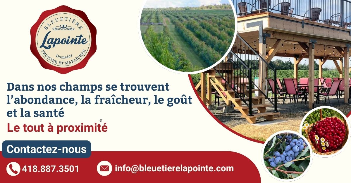 Bleuetière Lapointe 