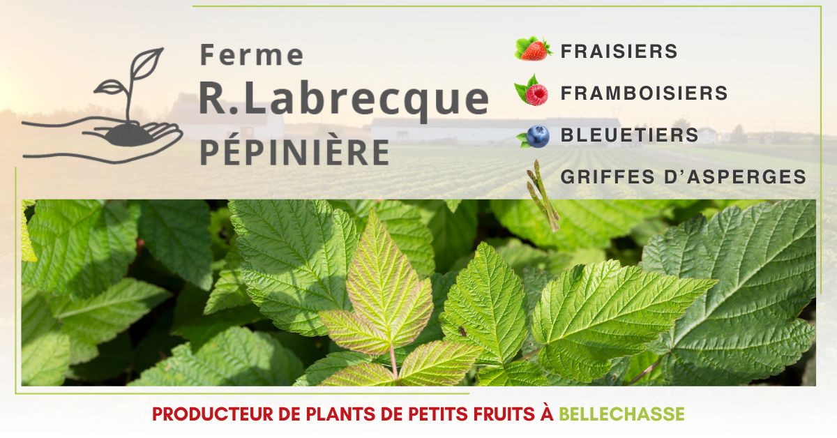 Ferme R. Labrecque 