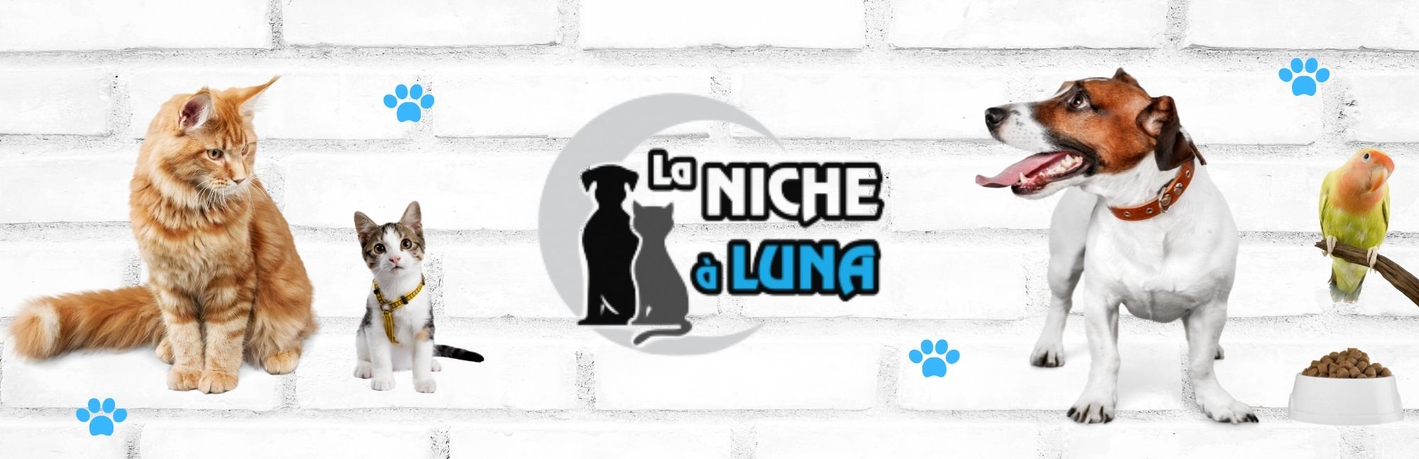 La Niche à Luna Magasin pour animaux 23