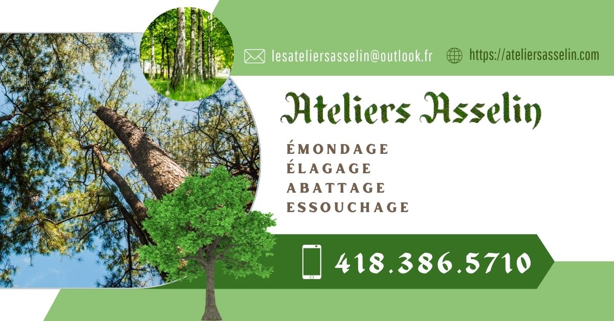 Les Ateliers Asselin Arboriculture 3