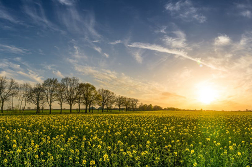 Agriculture, Animaux & Environnement