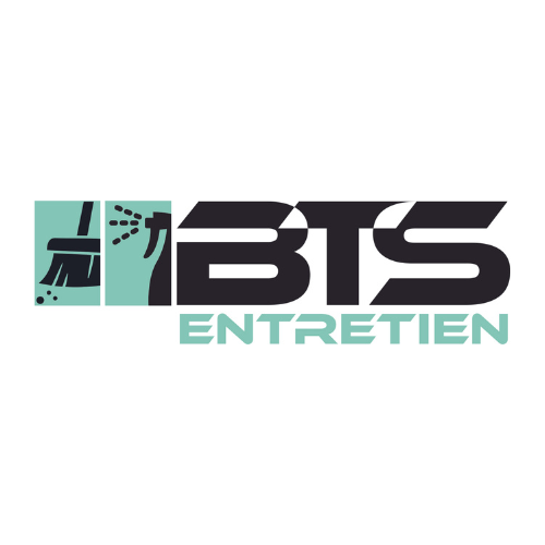 BTS entretien