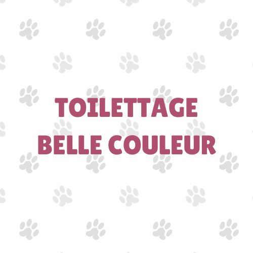 Toilettage Belle Couleur