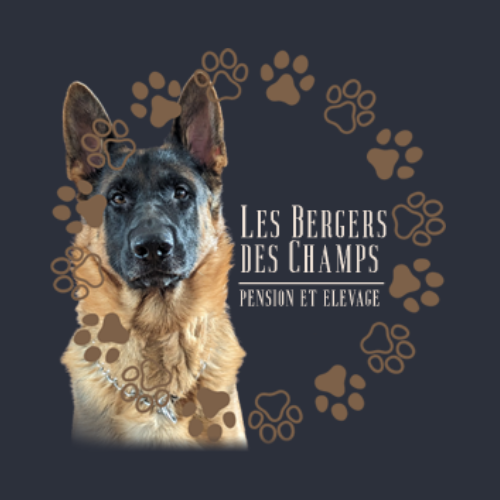 Les Bergers des Champs