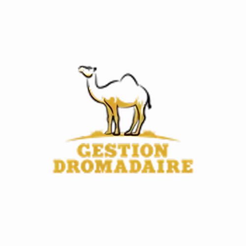 Gestion Dromadaire