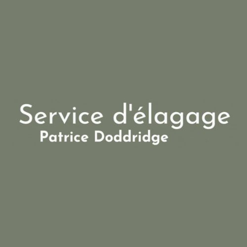 Service d'étalage Patrice Doddridge
