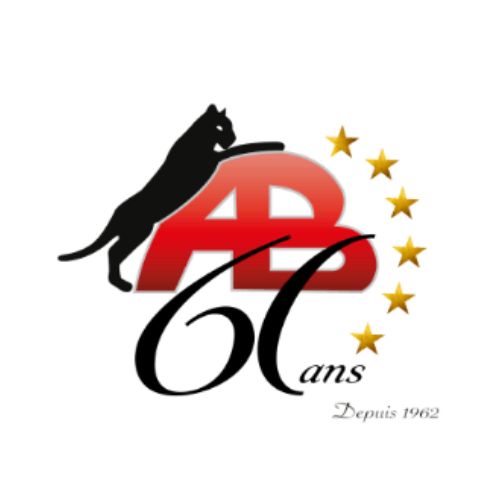 Pavage et aménagement paysager Antonio Borsellino Inc