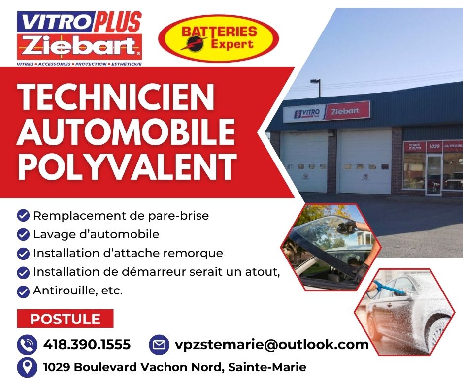 Emploi Technicien Automobile Polyvalent 